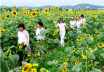 thumbnail 148*82