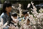 thumbnail 148*82