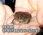 thumbnail 148*82