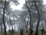 thumbnail 148*82