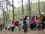 thumbnail 148*82