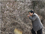thumbnail 148*82