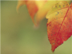 thumbnail 148*82