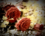 thumbnail 148*82