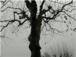 thumbnail 148*82