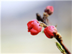 thumbnail 148*82