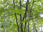 thumbnail 148*82