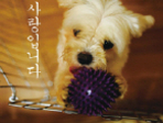 thumbnail 148*82