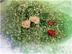 thumbnail 148*82