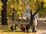 thumbnail 148*82