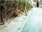 thumbnail 148*82
