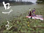 thumbnail 148*82