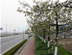 thumbnail 148*82