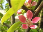 thumbnail 148*82