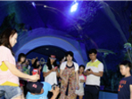 thumbnail 148*82