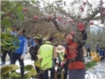 thumbnail 148*82