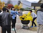 thumbnail 148*82