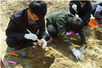 thumbnail 148*82