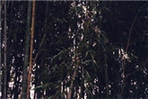 thumbnail 148*82