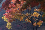 thumbnail 148*82