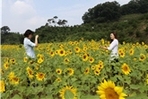 thumbnail 148*82
