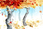 thumbnail 148*82