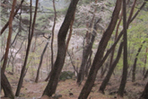 thumbnail 148*82