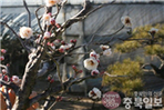 thumbnail 148*82