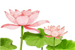 thumbnail 148*82
