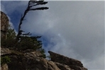 thumbnail 148*82