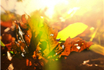 thumbnail 148*82