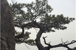 thumbnail 148*82