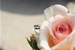 thumbnail 148*82