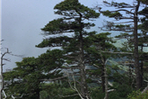 thumbnail 148*82