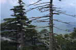 thumbnail 148*82