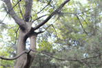 thumbnail 148*82