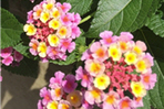 thumbnail 148*82