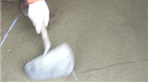 thumbnail 148*82