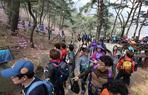 thumbnail 148*82