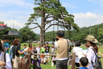 thumbnail 148*82