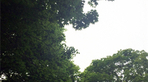 thumbnail 148*82