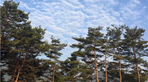 thumbnail 148*82