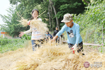 thumbnail 148*82