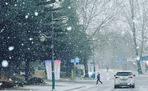thumbnail 148*82