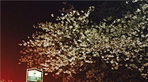 thumbnail 148*82