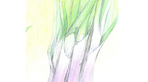 thumbnail 148*82