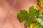 thumbnail 148*82