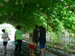 thumbnail 148*82