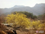 thumbnail 148*82