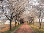 thumbnail 148*82